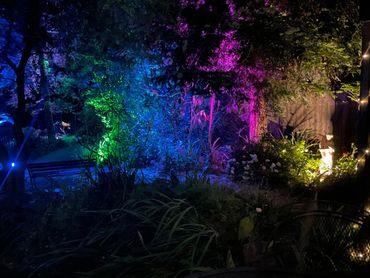 Outdoor backyard lighting