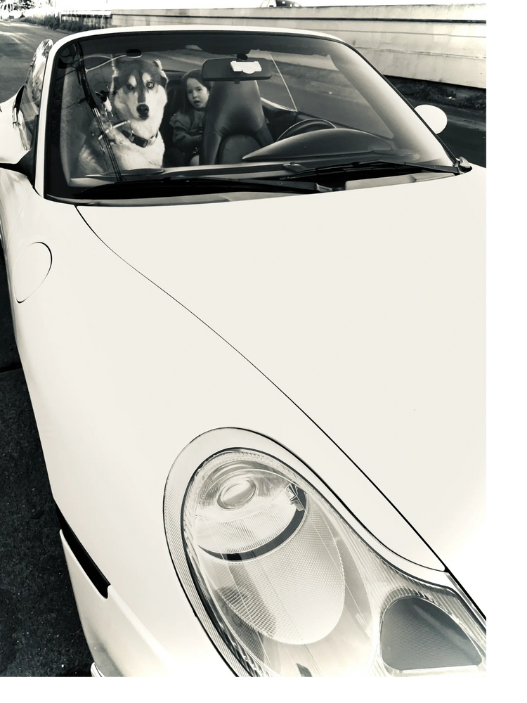 a big husky in the passenger seat of an expensive convertible sportscar