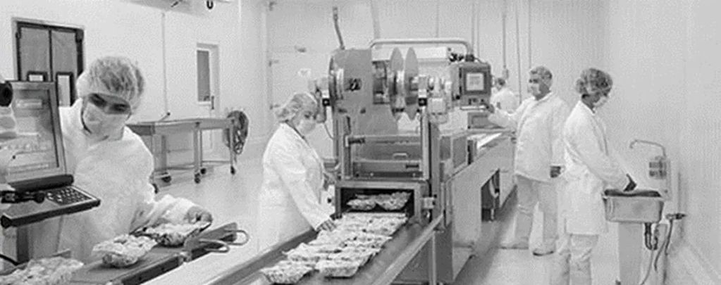 Definición del proceso, planificación y diseño de planta para procesamiento de pescados y mariscos.