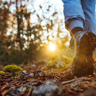 Close-up of a person hiking on a forest trail at sunset.
