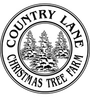 Christmas trees
