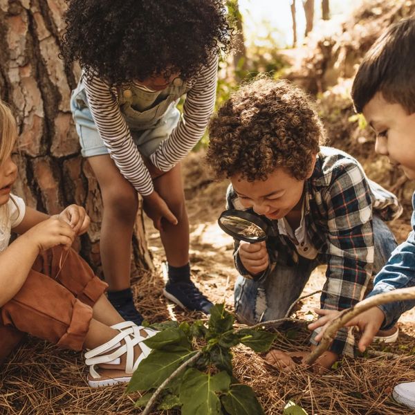 Children exploring nature with a magnifying glass in a forest.