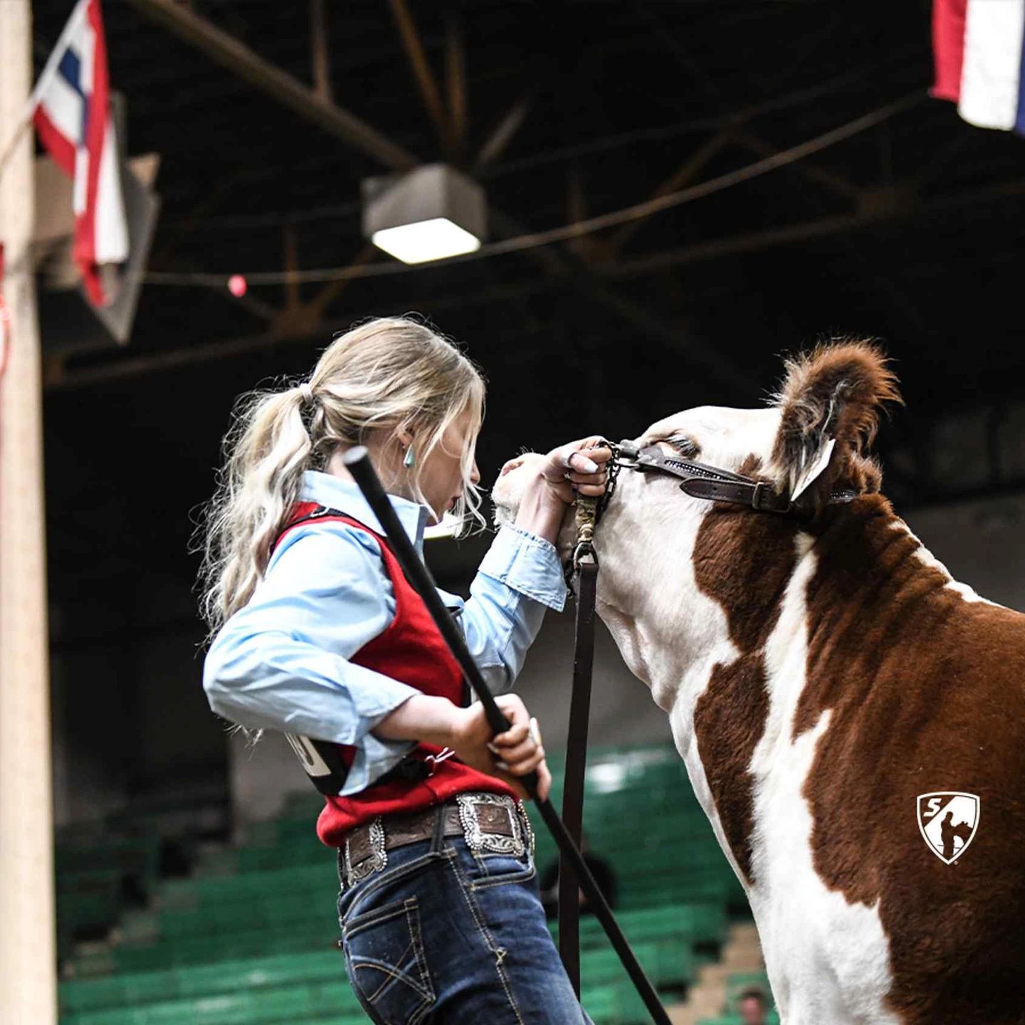 Moo-Maker - AI Technician, Cow
