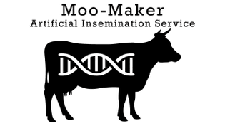 Moo-Maker
Artificial Insemination Service