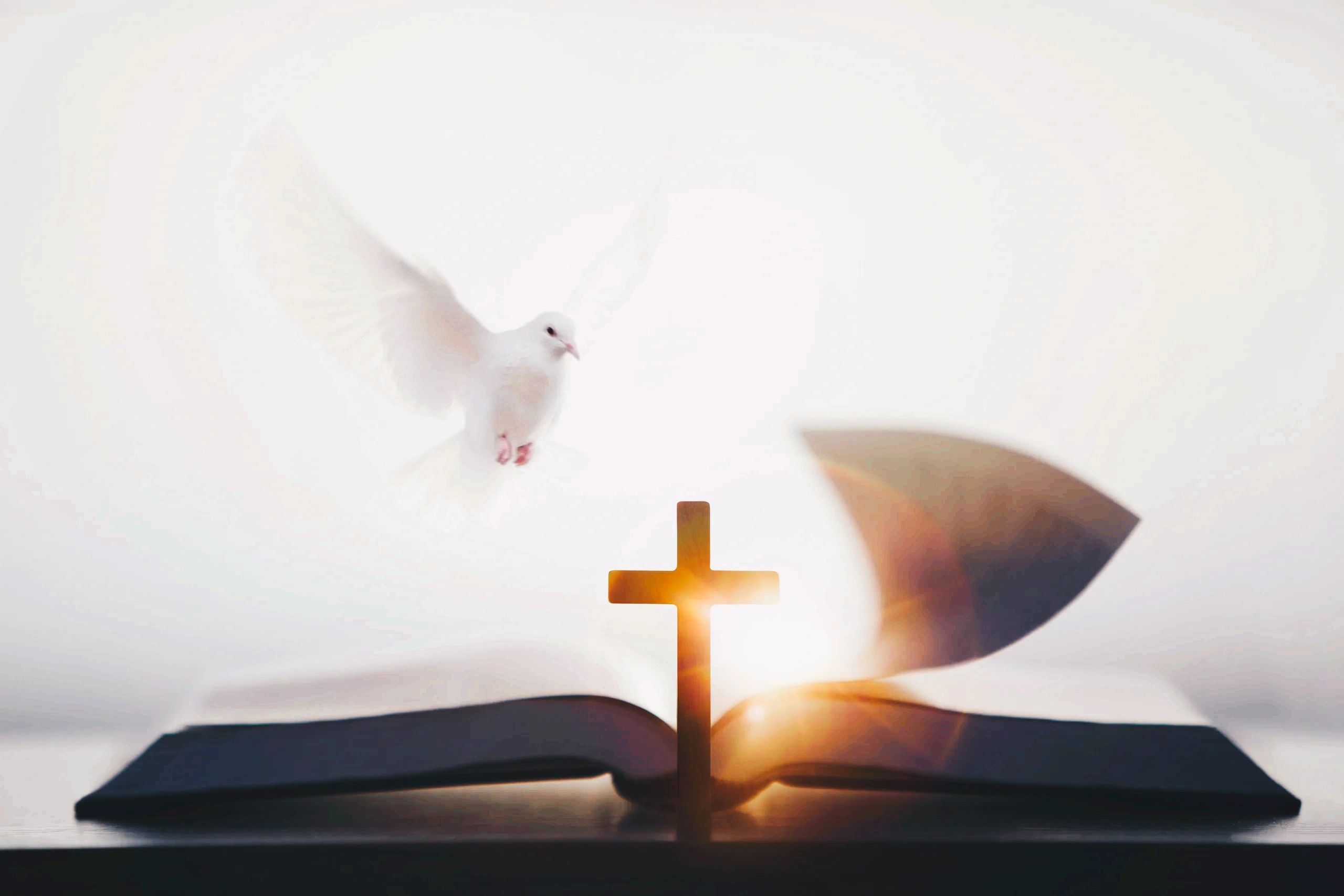 Image of a dove flying down towards an open bible and a cross.