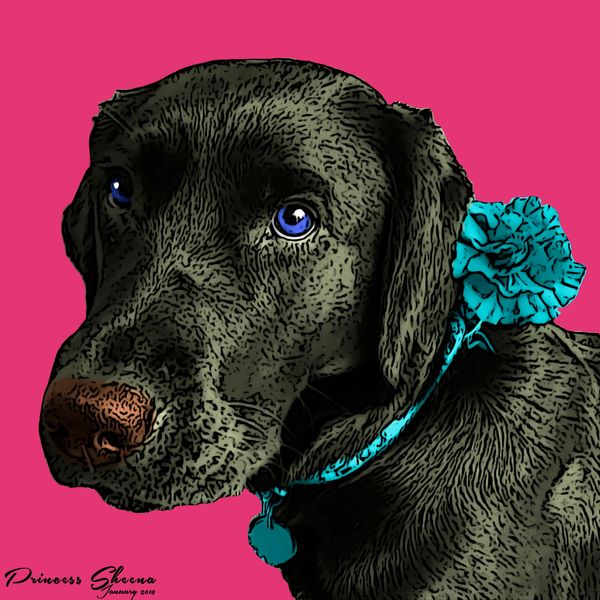 Member Association of Professional Dog Trainers