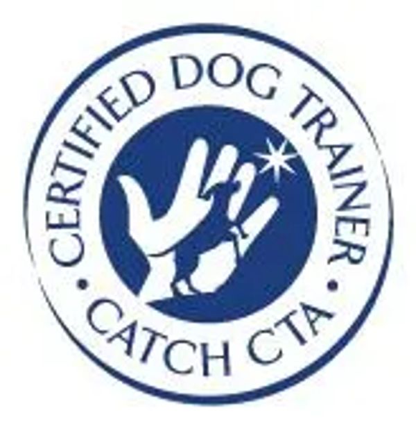Certified Dog trainer CCDT