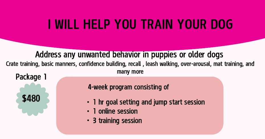 basic Dog training package with prices