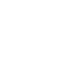 SAEDA LLC