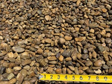 A pile of small wet stones with a measuring tape showing size.