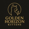 Golden Horizon Kittens