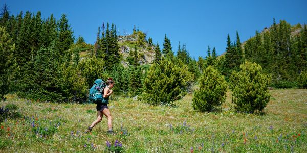Personal trainer hiking in a field of wildflowers