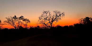 Sunset in Kafue National Park