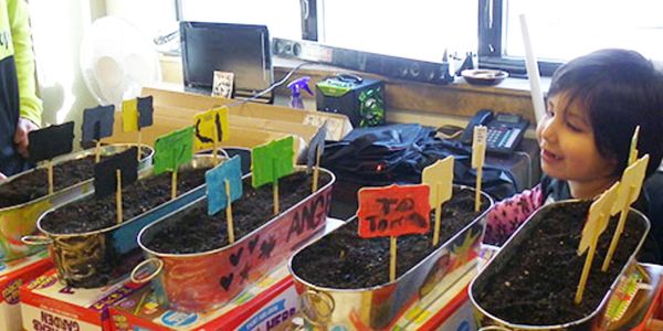 Smiling child with buckets of plants.
