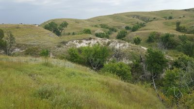 Rolling grassy hills under a cloudy sky with scattered trees.