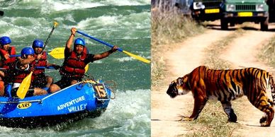 Rafting ,Rajaji Tiger Reserve, National Park, Jungle Safari,India ,Haridwar,Rishikesh,Uttarakhand,