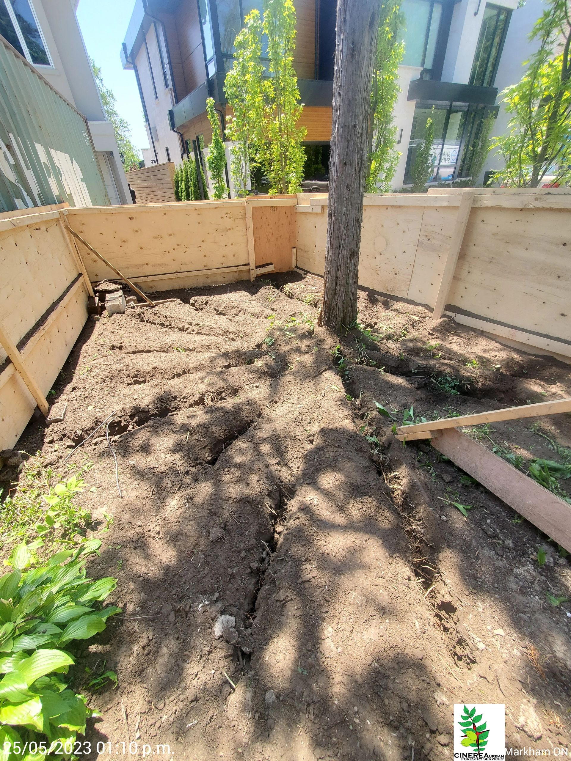 Arborist Report Tree Protection Plan, Tree Removal Tree Cutting