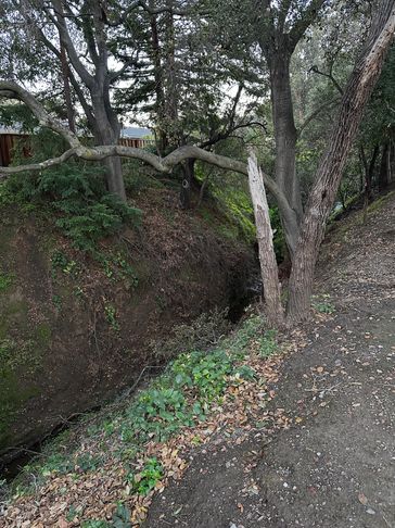 I have adopted a part of Regnart Creek near my neighborhood to participate in the vision for healthy