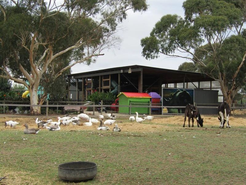 Aprender sobre 70+ imagem big goose farm br.thptnganamst.edu.vn