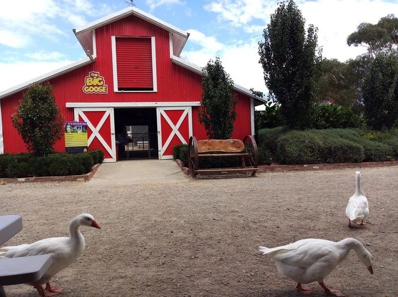 Aprender sobre 70+ imagem big goose farm br.thptnganamst.edu.vn