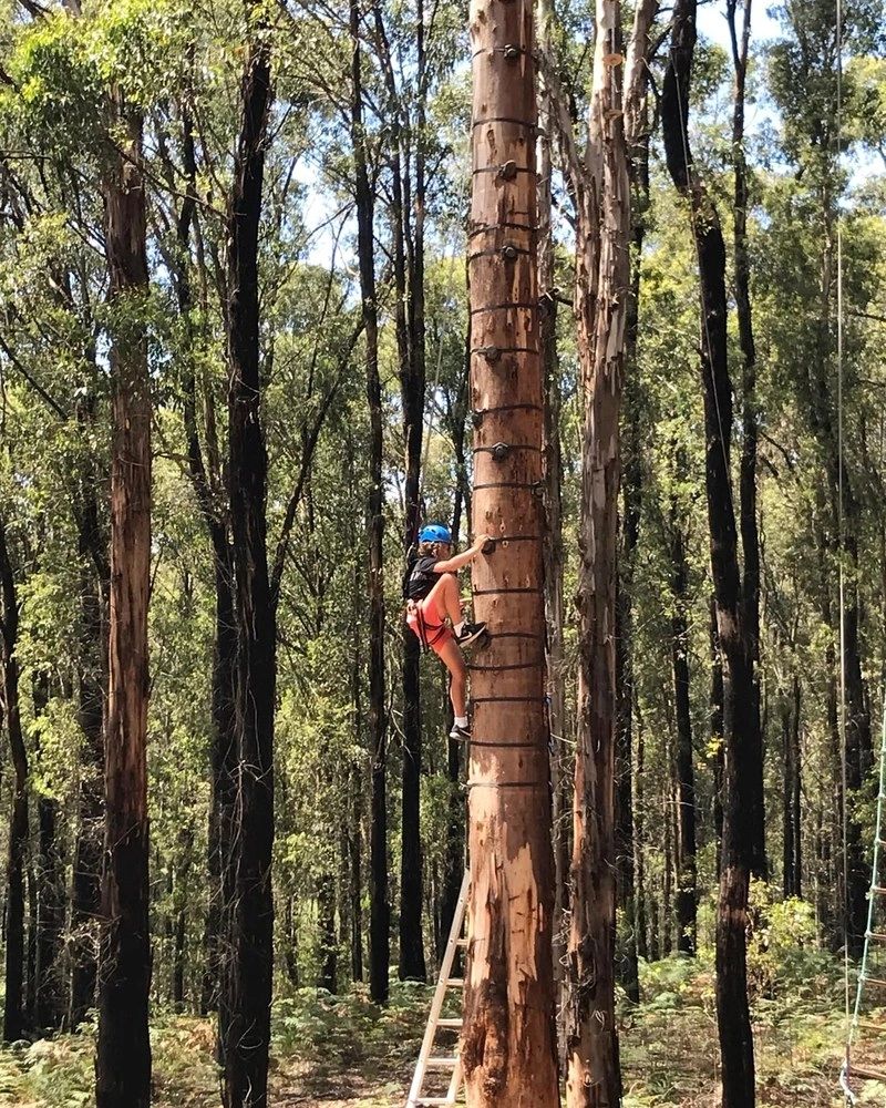 Kinglake Forest Adventures