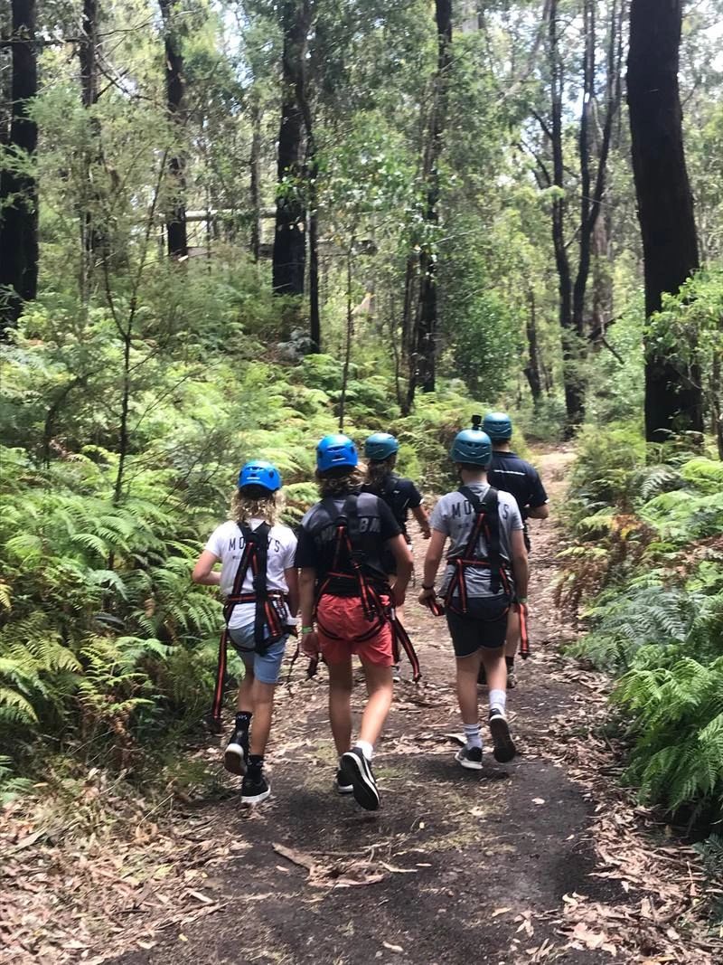 Kinglake Forest Adventures