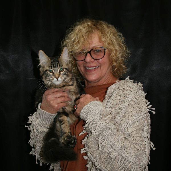 An Amazing Sweet Maine Coon Sharing the love with her forever family!
