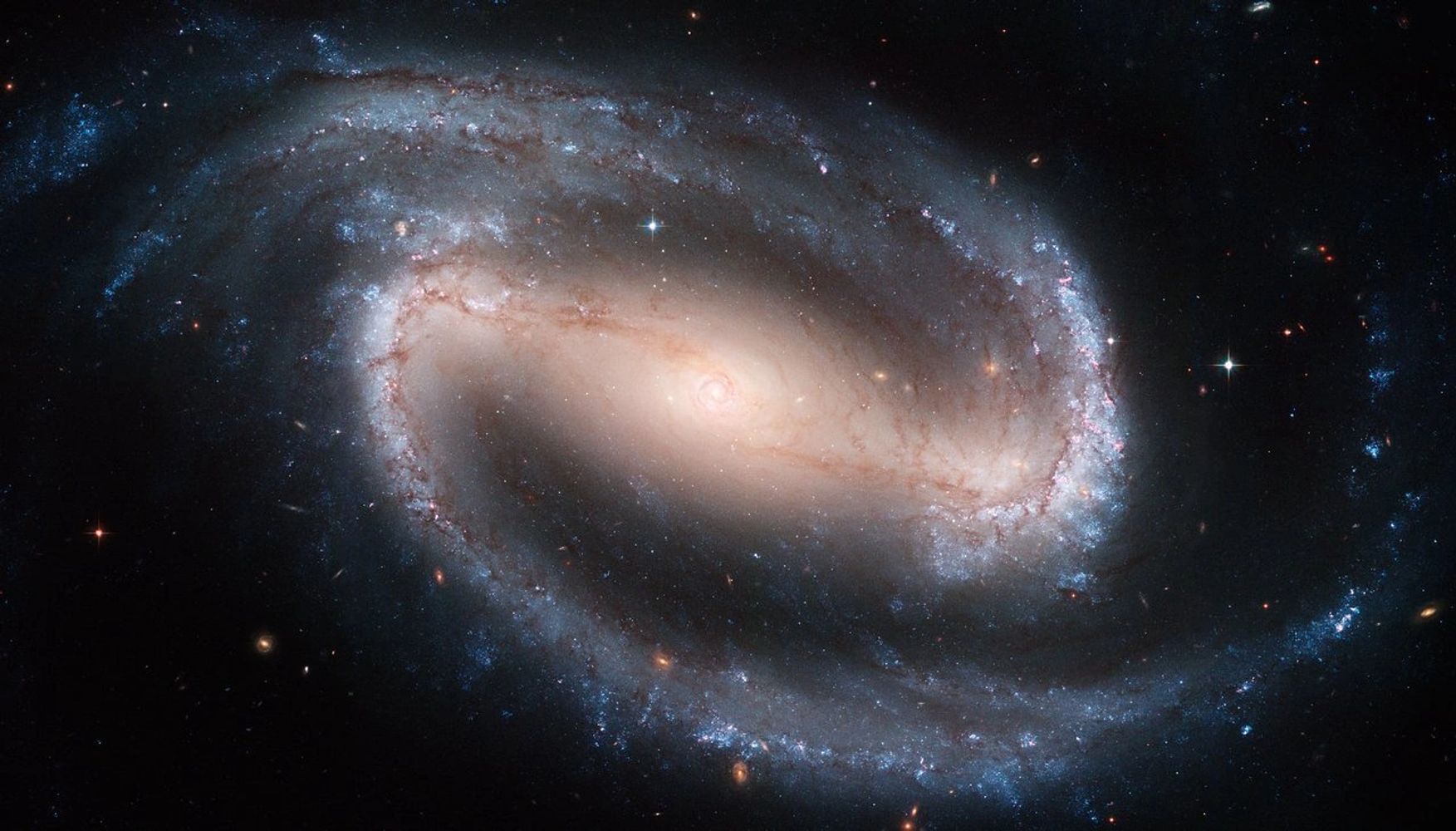 Spiral Galaxy NGC 1300