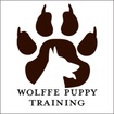 Wolffe Puppy  Training 