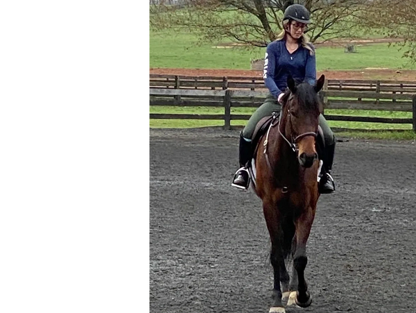 A woman wearing a helmet rides a brown horse in an outdoor arena.