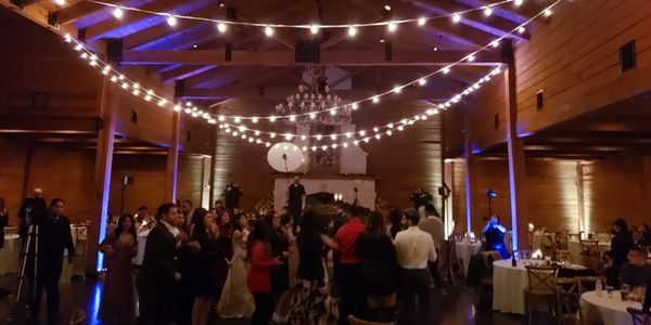 Wedding reception under string lights in a wooden hall.
