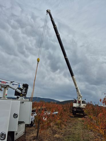 Crane truck and orchard fan tower