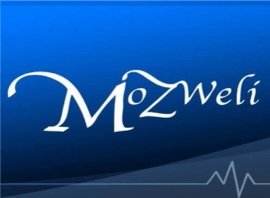 Mozweli Nuclear Engineering