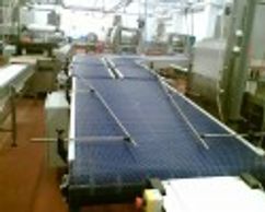 twin strand  modular belt conveyor feeding extra wide conveyor system for use in a sausage factory
