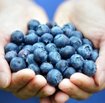 Delicious Blueberries