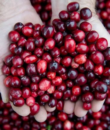 Sweet and tart cranberries