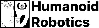 Humanoid Robotics