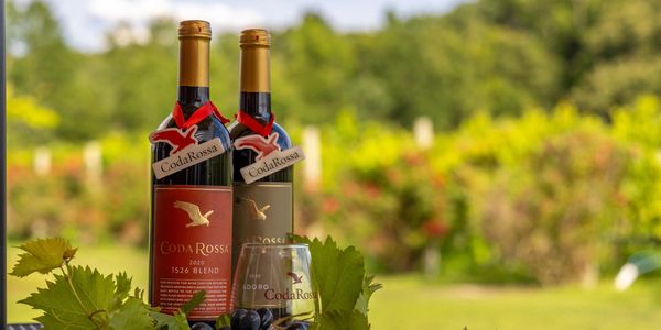 Two bottles of Coda Rossa wine with a glass and grapes in a vineyard setting.