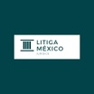 litigamx.com
