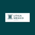 litigamx.com