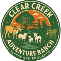 A Texas Ranch- Where Rescue, Adventure, and Education Come Togeth