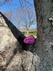 Hike 351