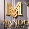 Mando Empresarial