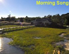 Morning Song view from Water