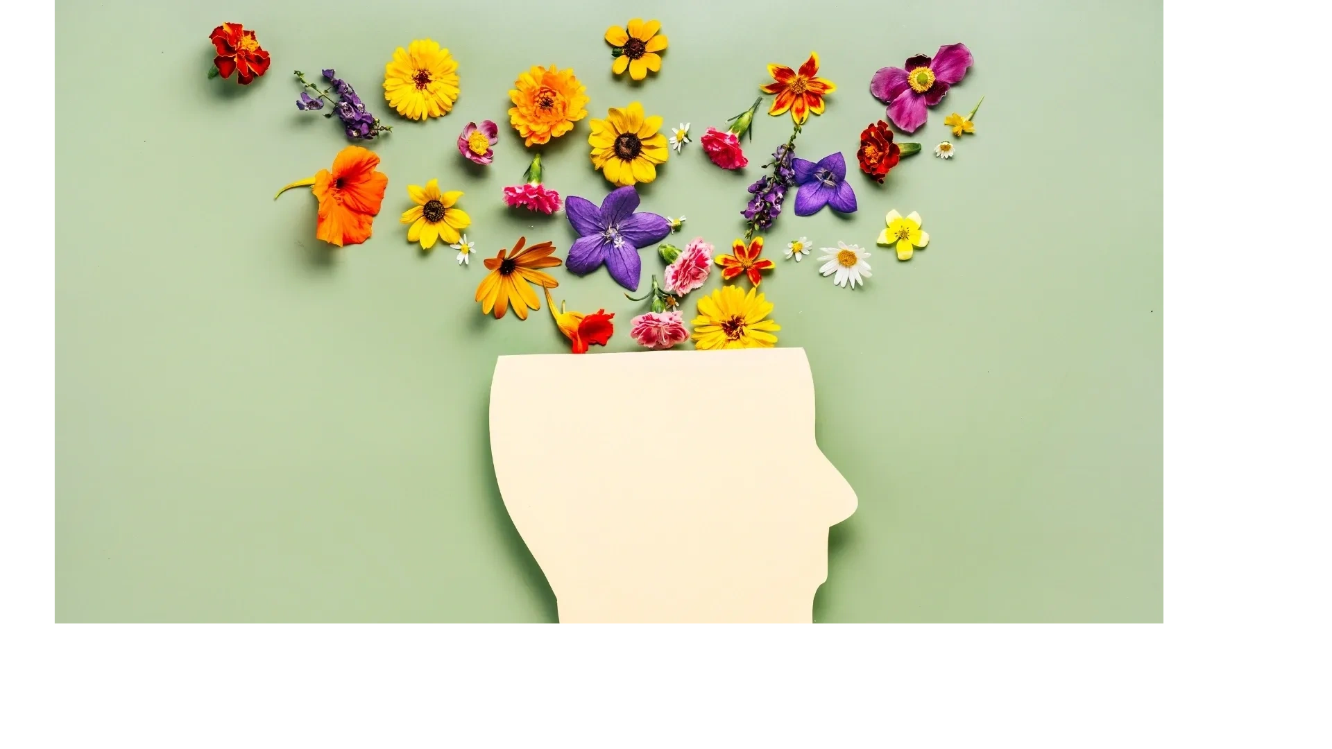 You Turn Behavioral Health Services you-turn-behavioral-health-services