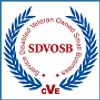 Buhler Consulting, LLC is a certified SDVOSB