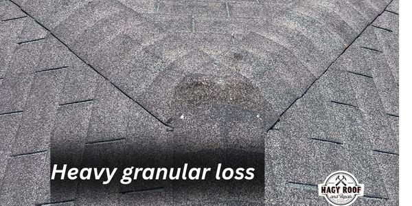 Granular loss from roofing shingles. worn out shingles. Shingle life span over.