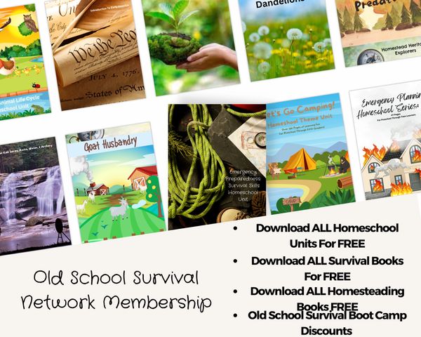 Free Scholastic Book Clubs For Homeschool