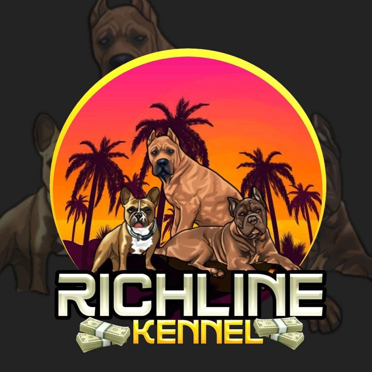 Italian Mastiff Puppies for Sale Richline Kennel