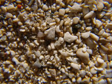 Close-up of small, irregular beige and white pebbles or granules.